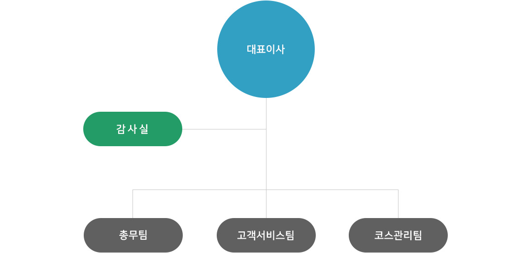 조직도. 대표이사. 감사실. 총무팀.  객서비스팀. 코스관리팀.